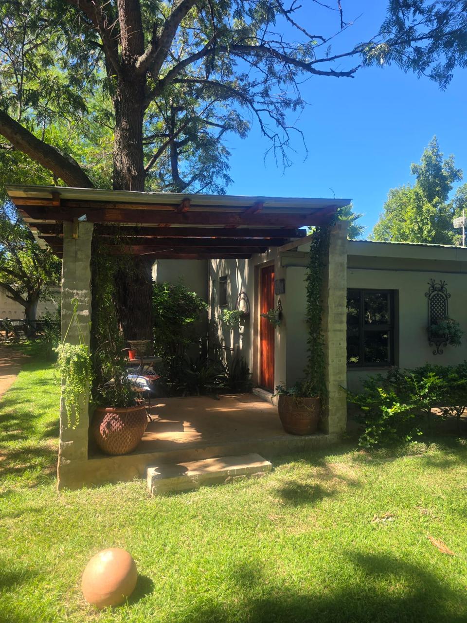Morning garden view from room